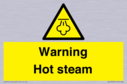 warning-hot-steam~